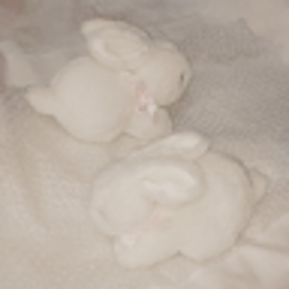 Meet your Posher, Gigi